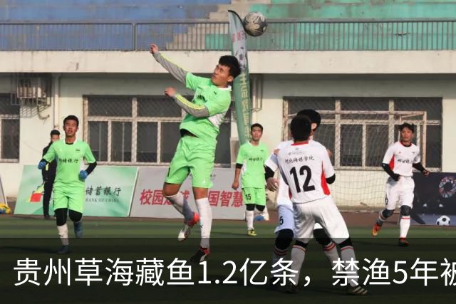 贵州草海藏鱼1.2亿条，禁渔5年被啃成秃海！长江能重蹈覆辙吗？